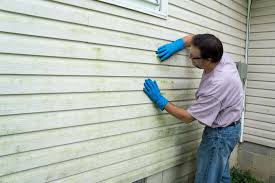 Best Siding Painting and Refinishing  in Los Alamos, CA